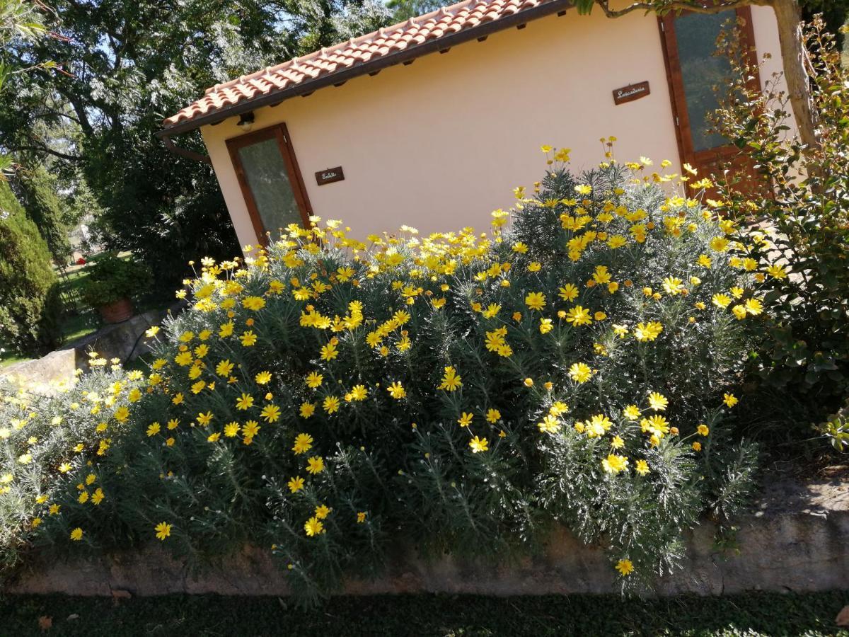 Il Podere Di Sole Roccastrada Zewnętrze zdjęcie