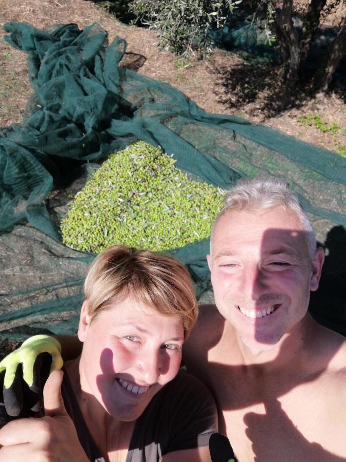 Il Podere Di Sole Roccastrada Zewnętrze zdjęcie