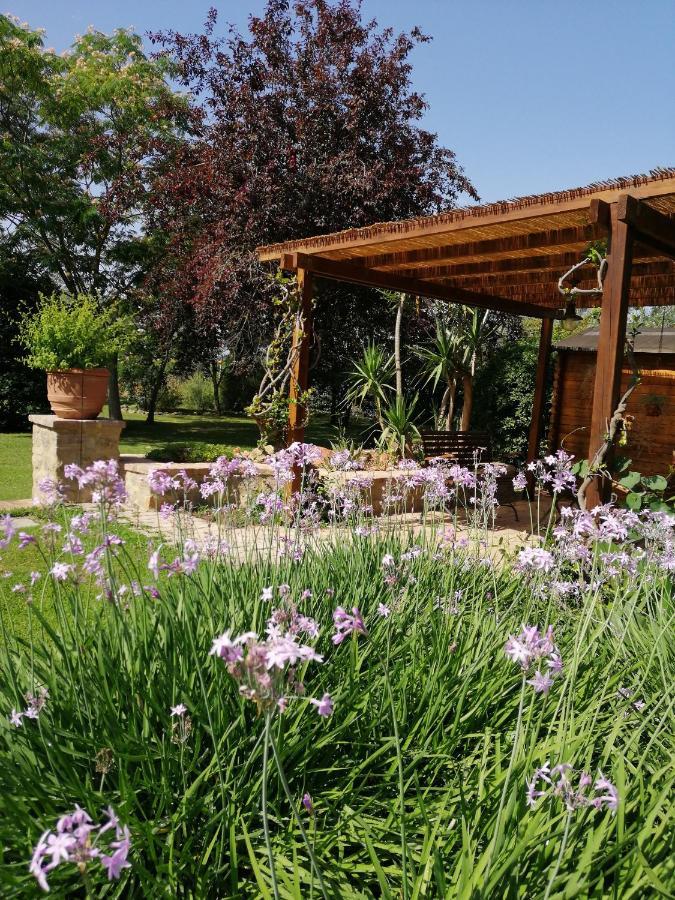 Il Podere Di Sole Roccastrada Zewnętrze zdjęcie