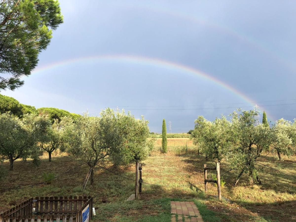 Il Podere Di Sole Roccastrada Zewnętrze zdjęcie