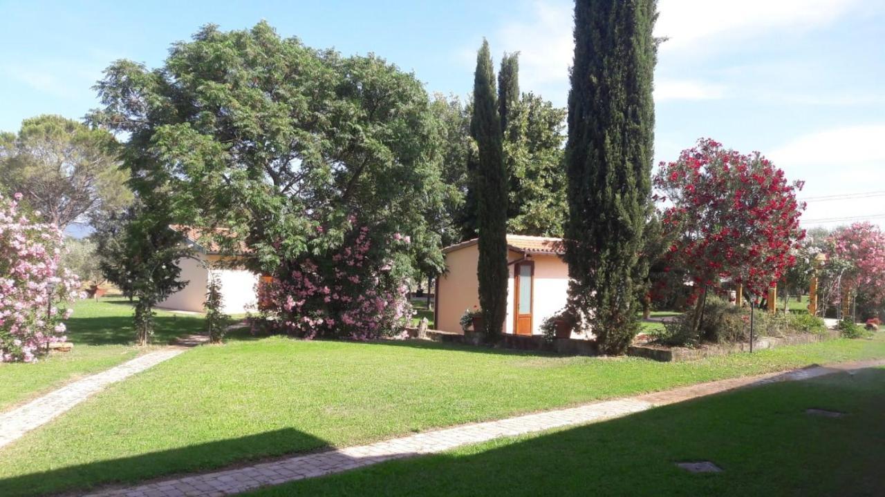 Il Podere Di Sole Roccastrada Zewnętrze zdjęcie